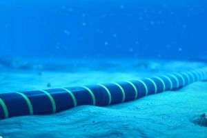 Transelectrica şi Georgia semnează memorandum pentru cablu submarin în Marea Neagră